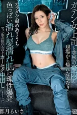 Jav Sub Indo DVAJ-633 Mandor Proyek