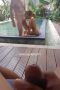 Jual Istri Ke Bule Di Bali Kontolnya Gede Banget