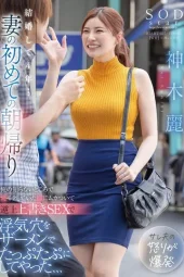START-237 Istri Yang Selalu Pulang Pagi – Rei Kamiki