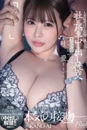 JUL-542 Ozawa Dan Simpanannya!! – Ai Kano