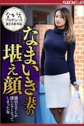 NSPS-576 Tetangga Jutek Doyan Selingkuh – Rena Fukiishi