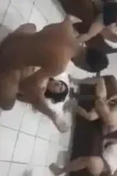 Gokil Pesta Sex Rame-Rame Bebas Ngentot Sepuasnya